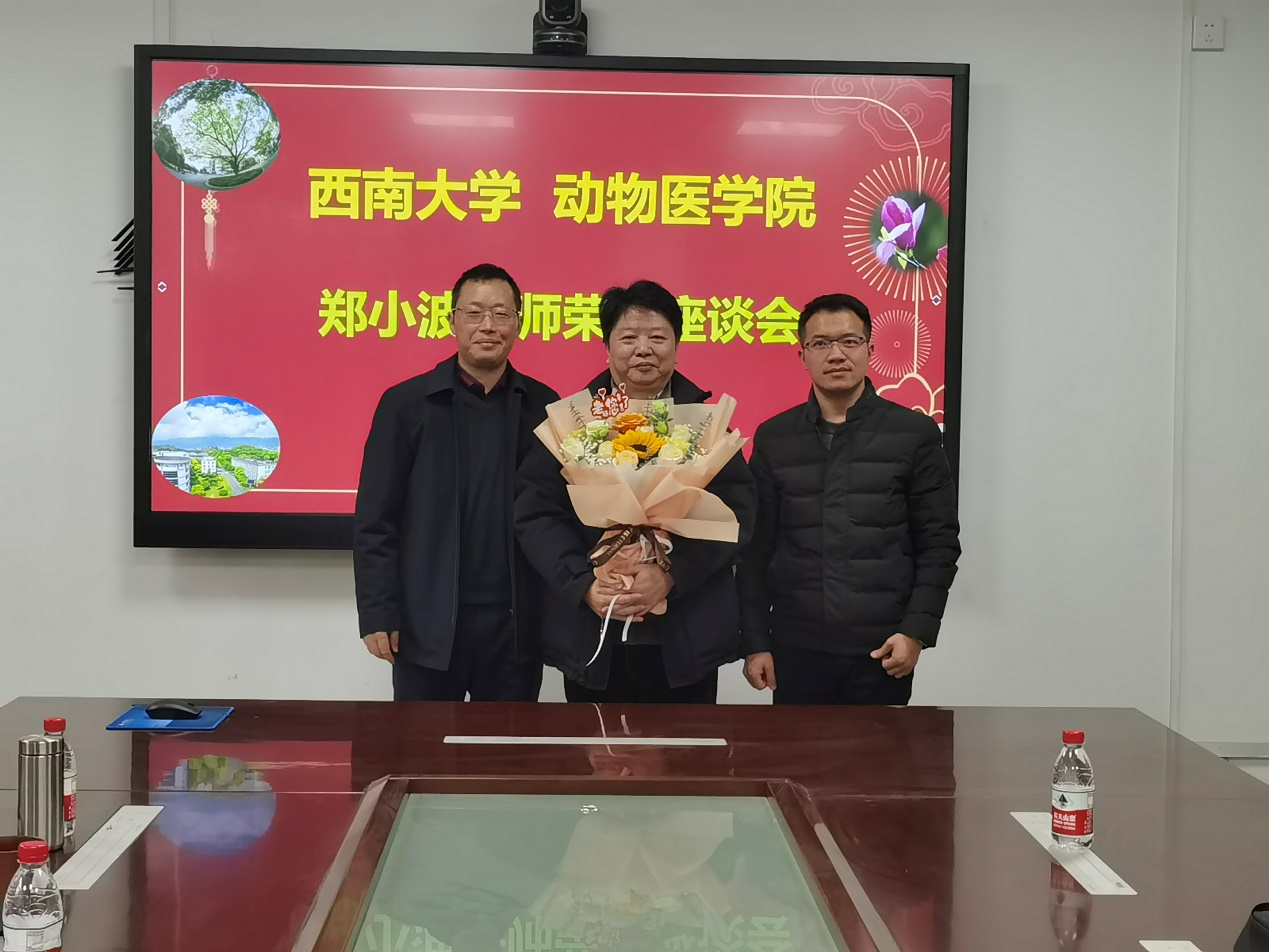 必发bf88为郑小波老师举行退休座谈会