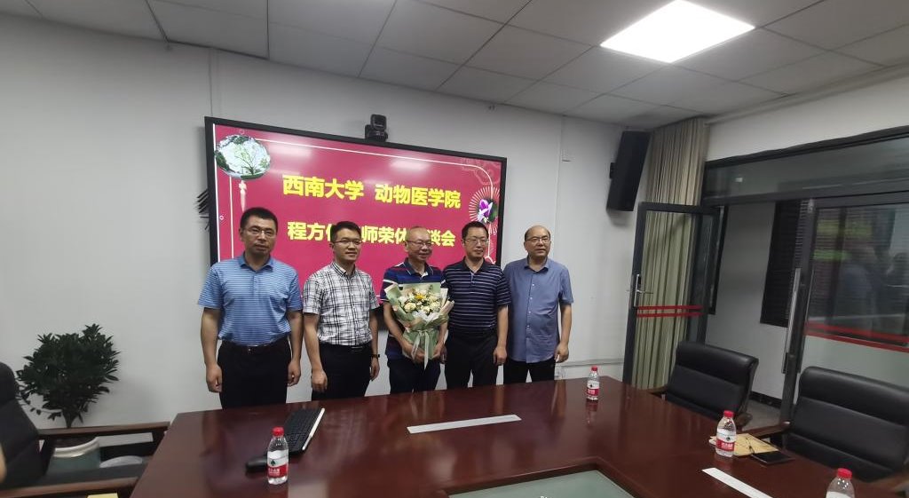 必发bf88为程方俊老师举行退休座谈会